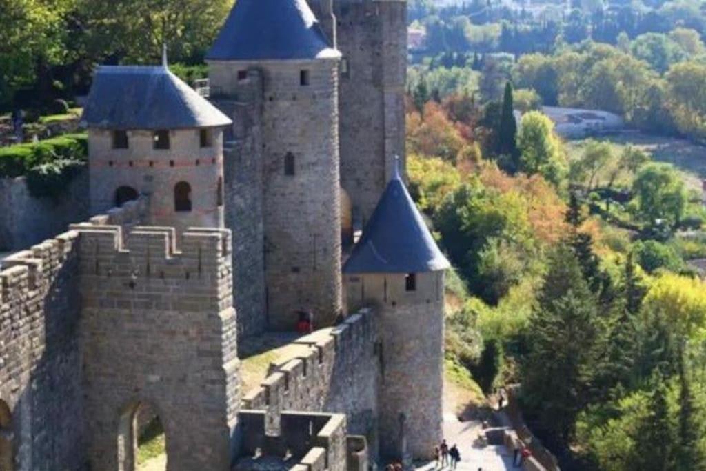 Dame Carcas Appartement Carcassonne Buitenkant foto
